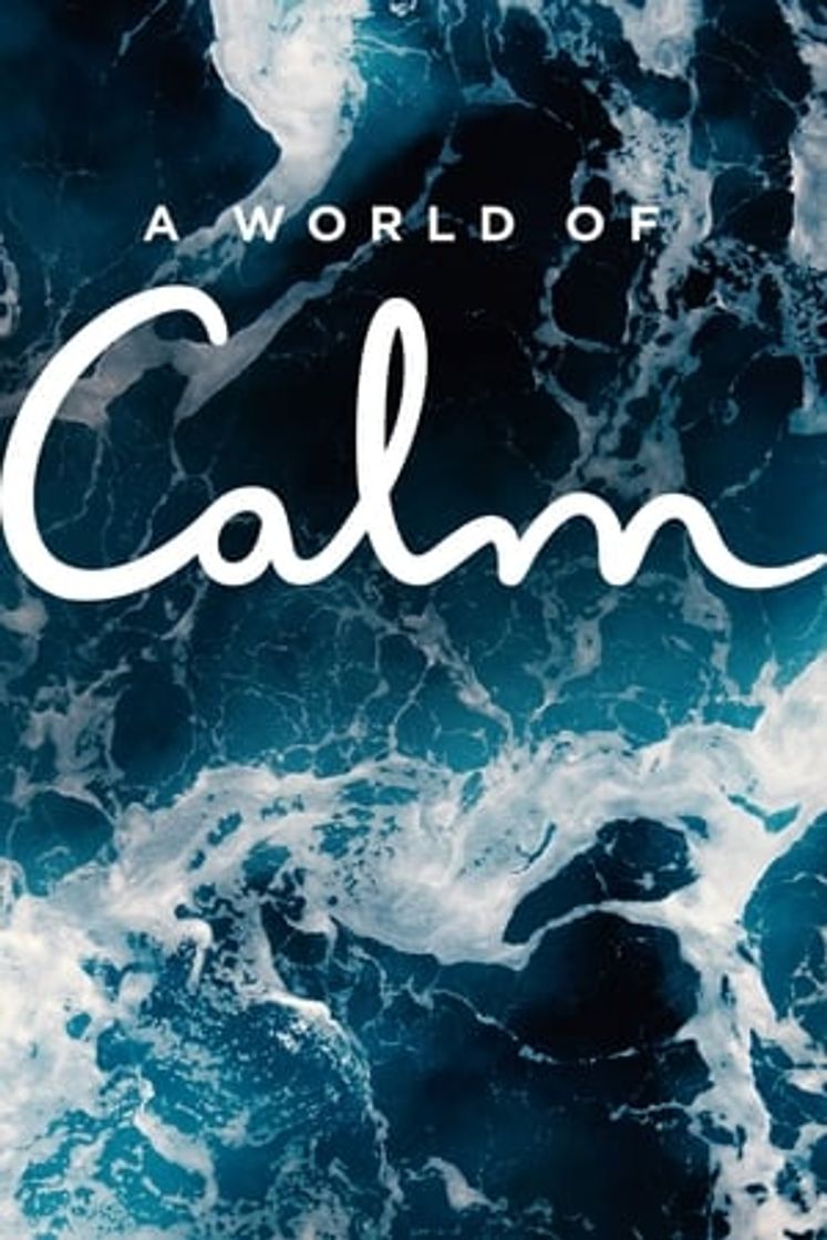 A World of Calm