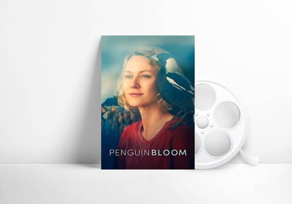 Movie La familia Bloom