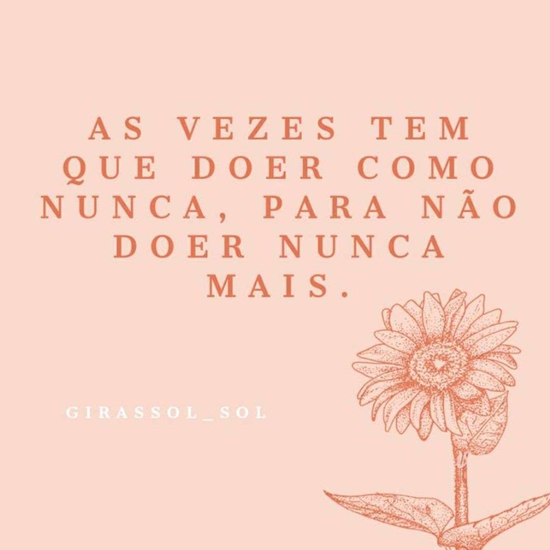 Fashion Frase do Dia 