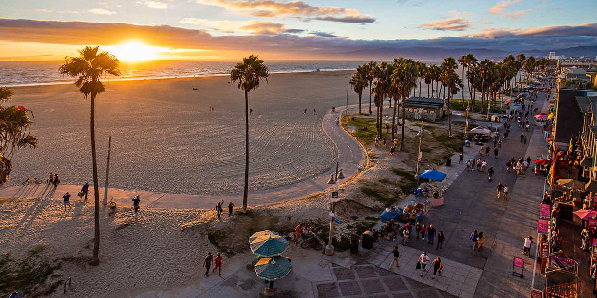 Place Venice Beach