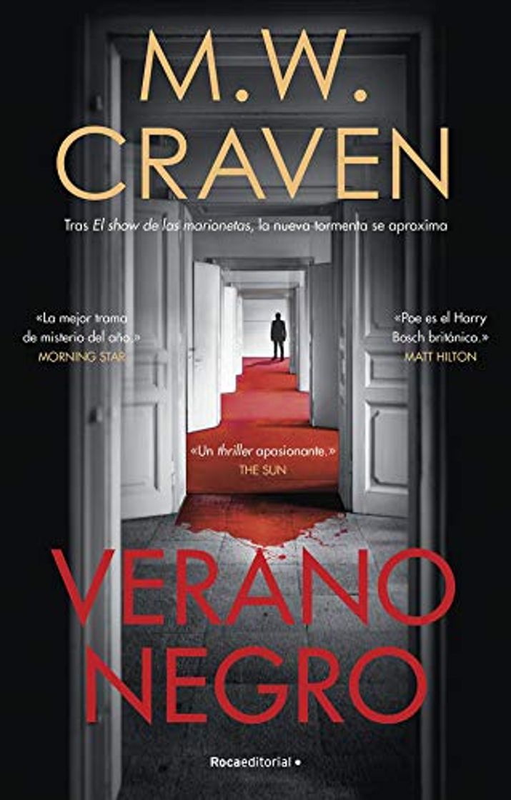 Libro Verano negro