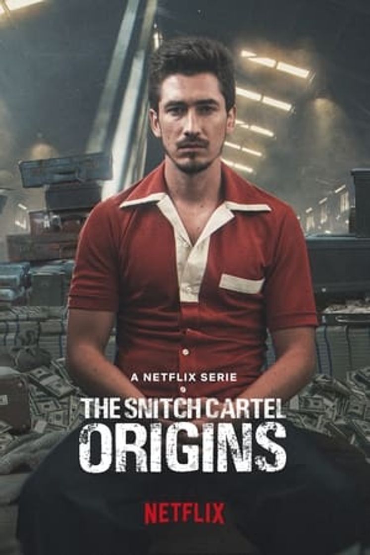 Serie El cartel de los sapos: El origen