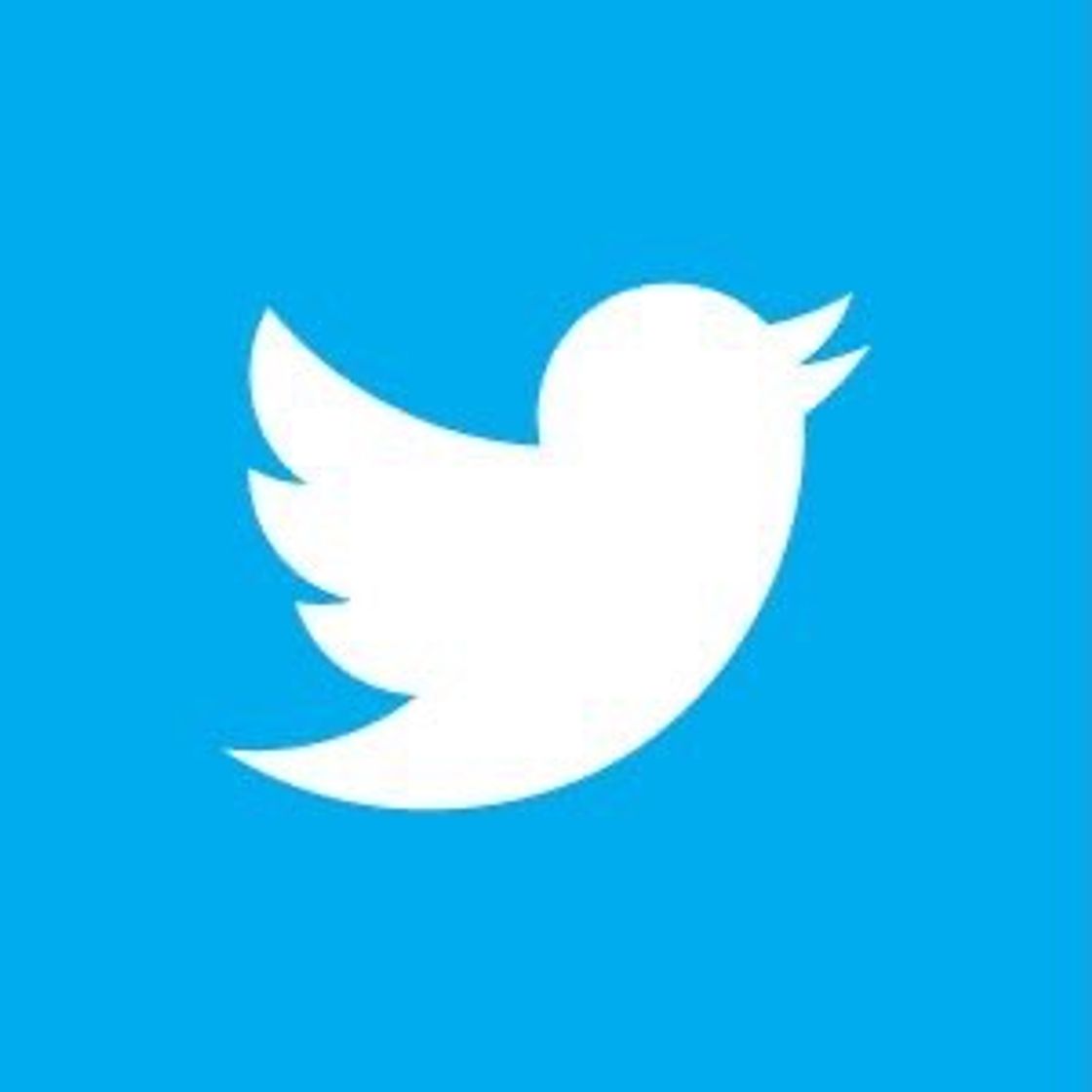 Social Twitter 💙