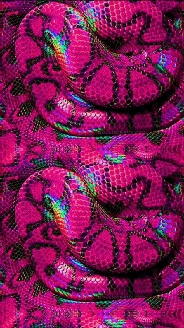 Moda snake 