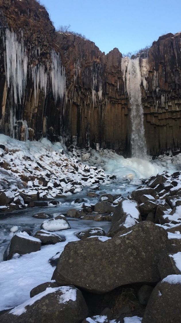 Lugar Svartifoss waterfall