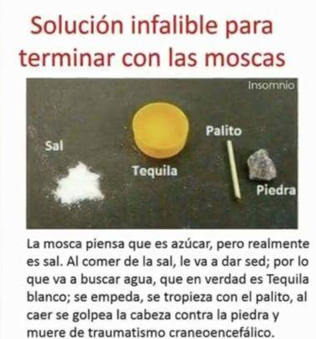 Social Meme ramdon#04