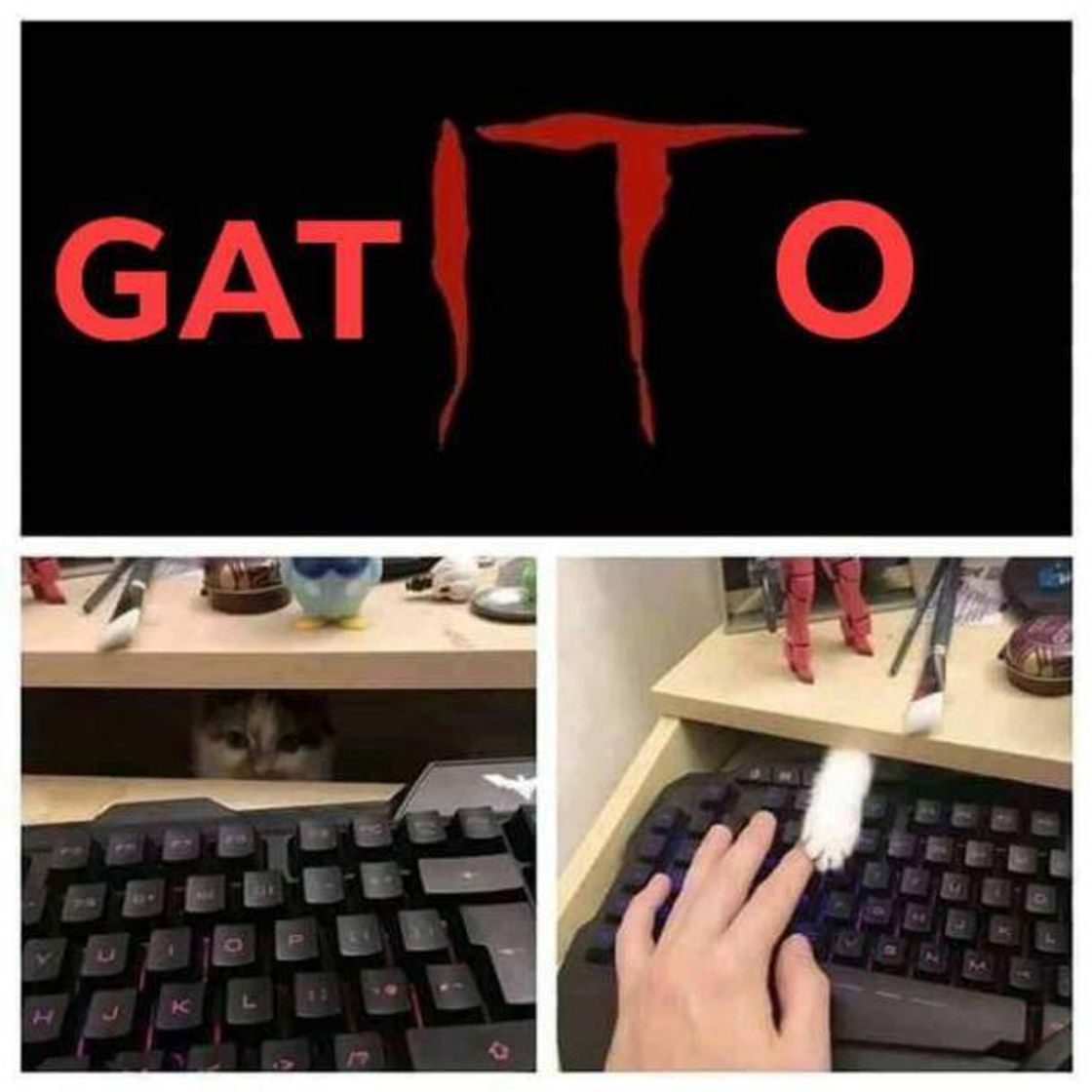 Social Meme random #3