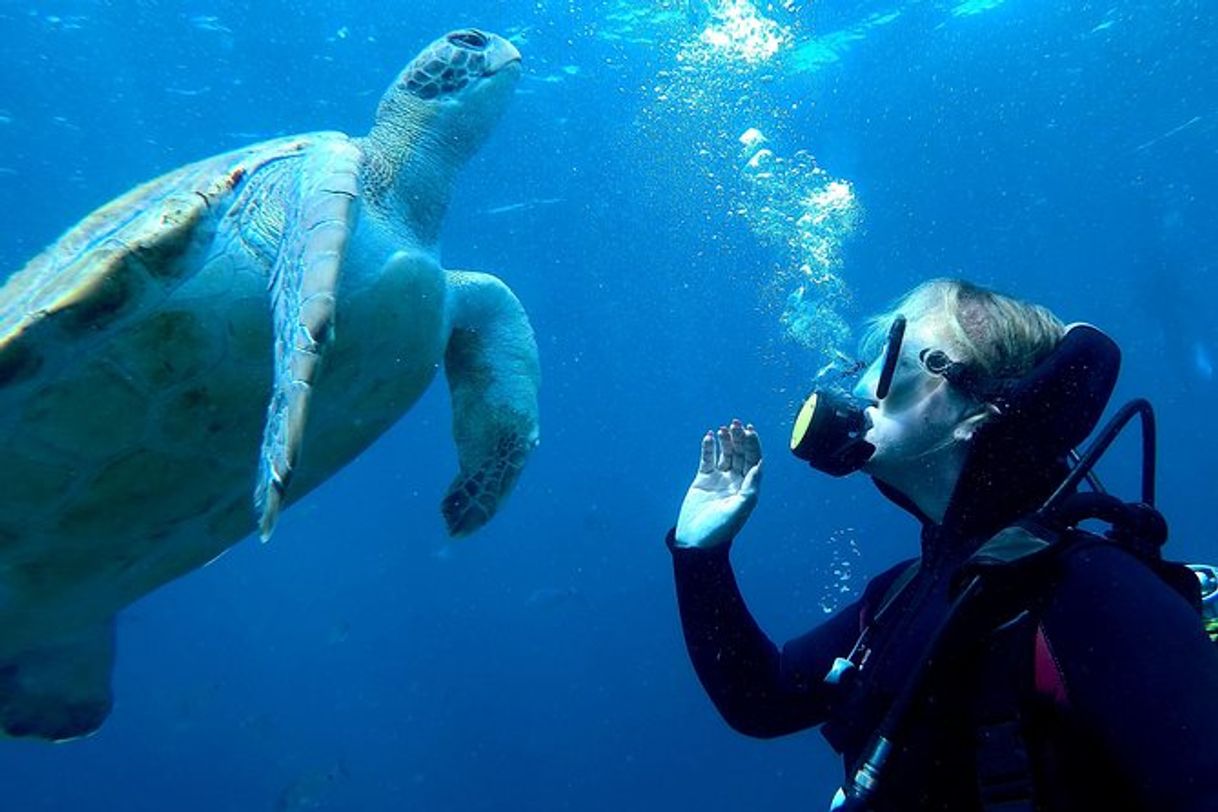 Moda Buceo para principiantes en Costa Adeje Tenerife 