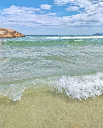 Praia da Joaquina, SC