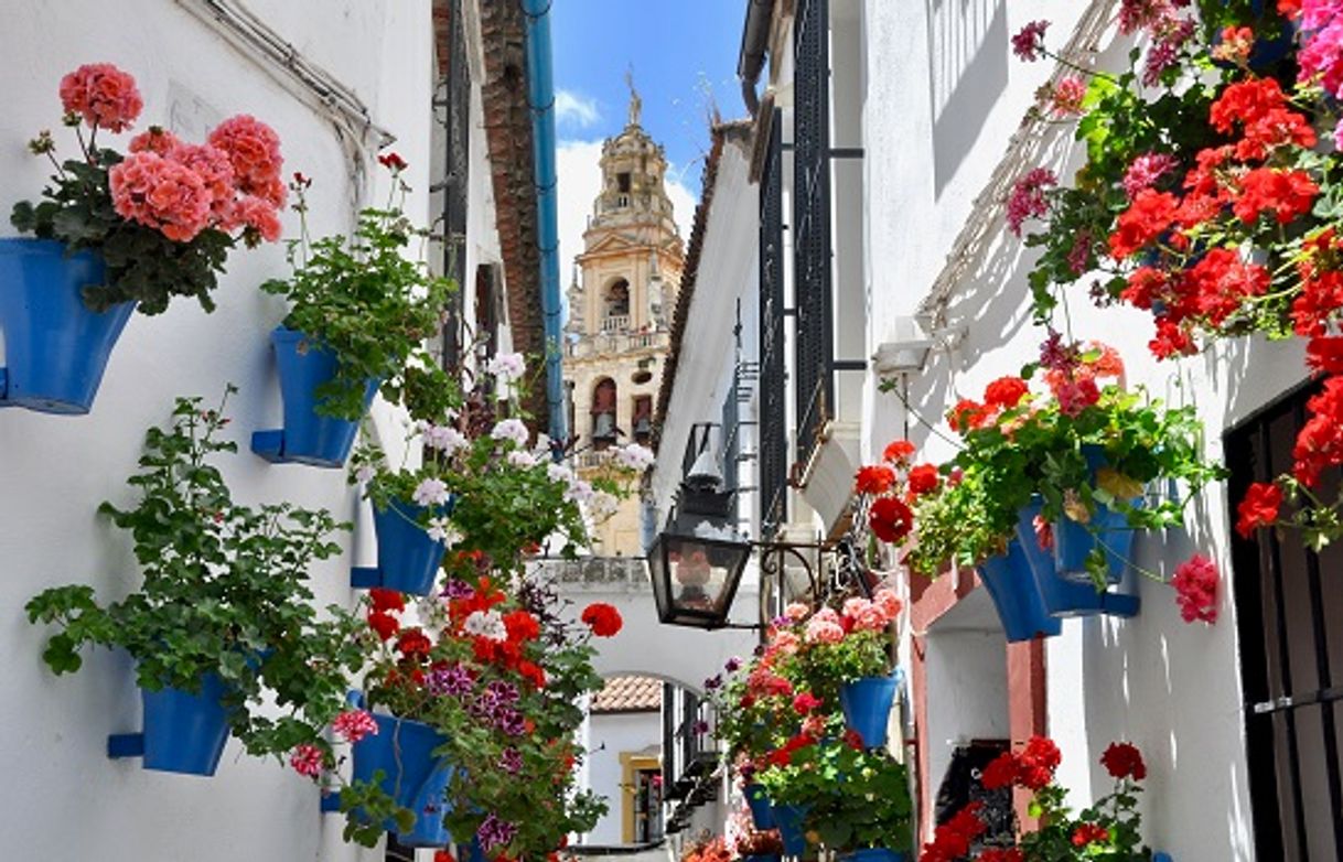 Lugares Calleja de las Flores