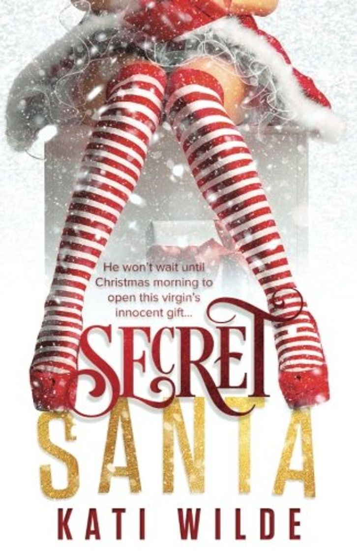 Libro Secret Santa