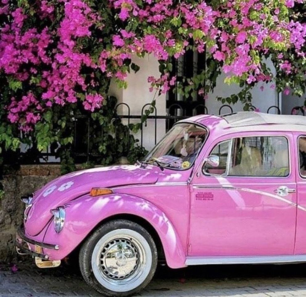 Fashion Duas paixões: Fusca e Rosa