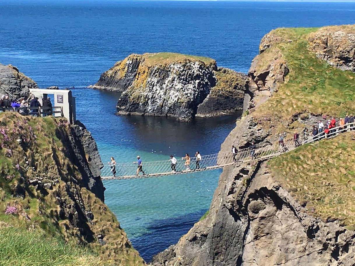 Place Carrick-A-Rede Rope Bridge