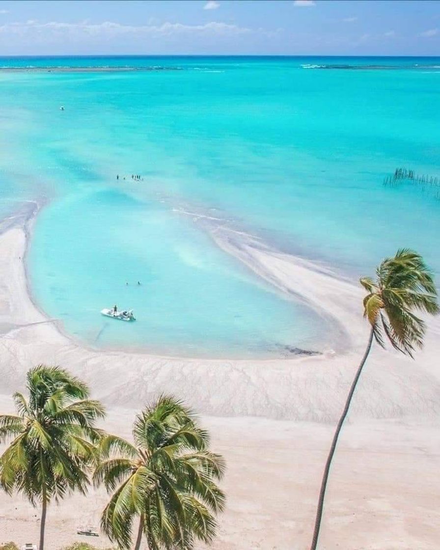 Place Praia de Antunes