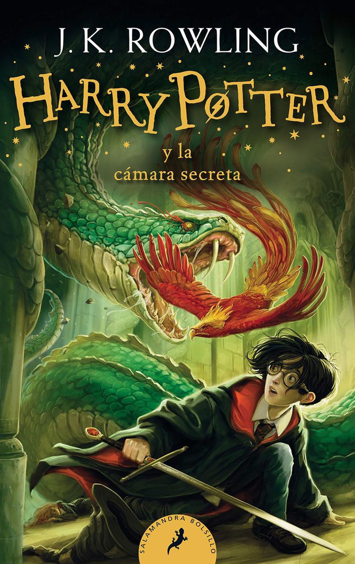 Libro HARRY POTTER Y LA CAMARA SECRETA