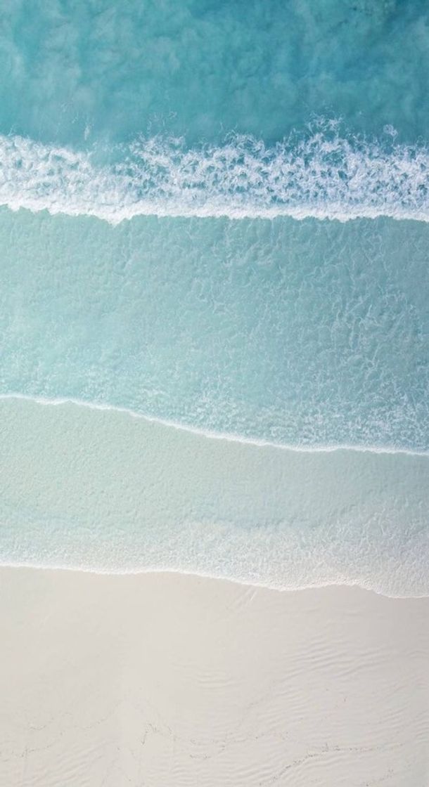 Social Wallpaper 💕