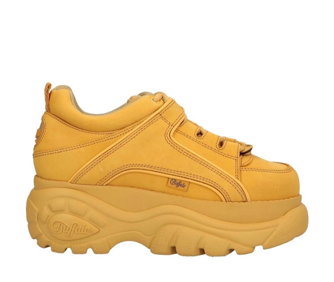 Social Buffalo Camel