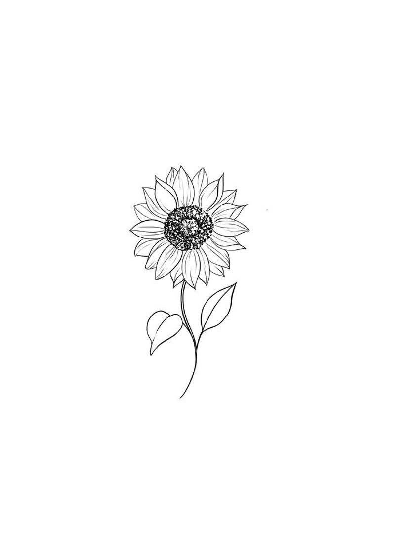 Social Girasol