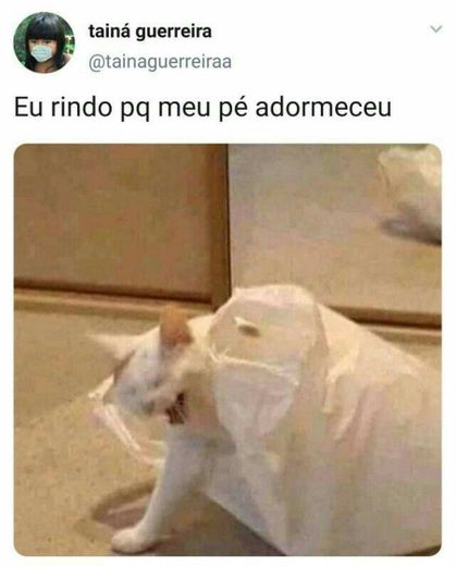 Eu rindo pq meu pé adormeceu e minha mãe me olha assim: 😑