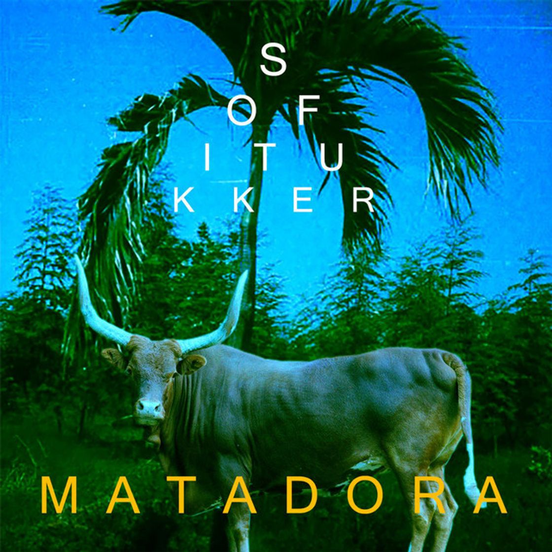 Music Matadora