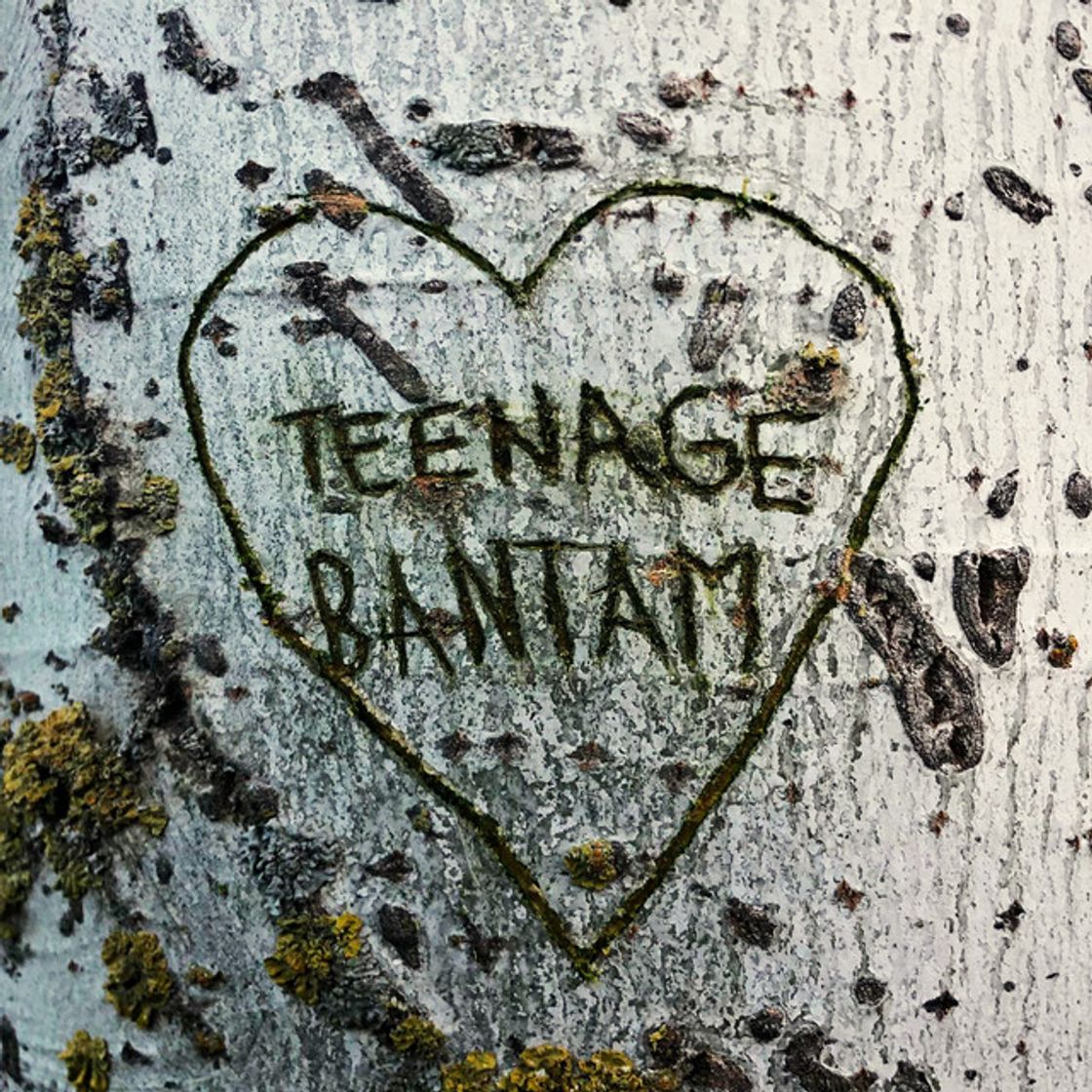 Music Teenage Bantam