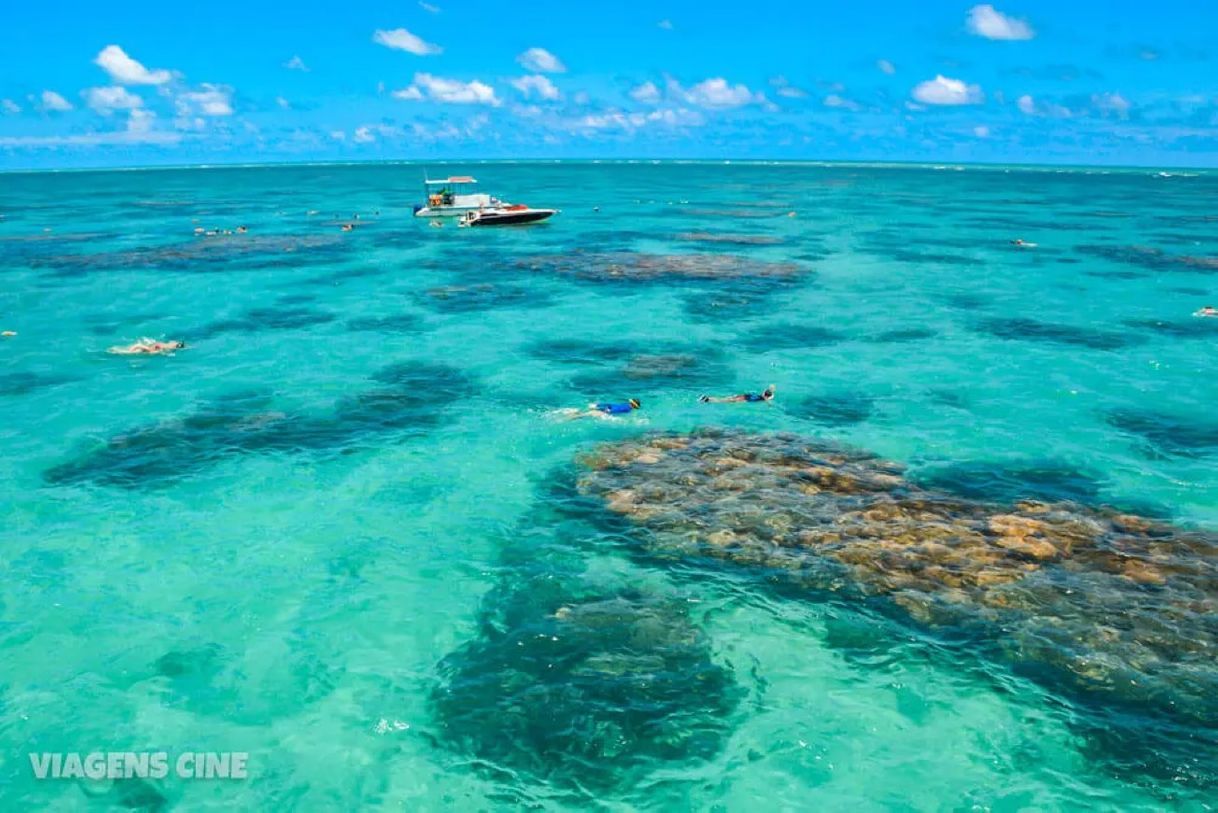 Lugar Praia de Maracajaú