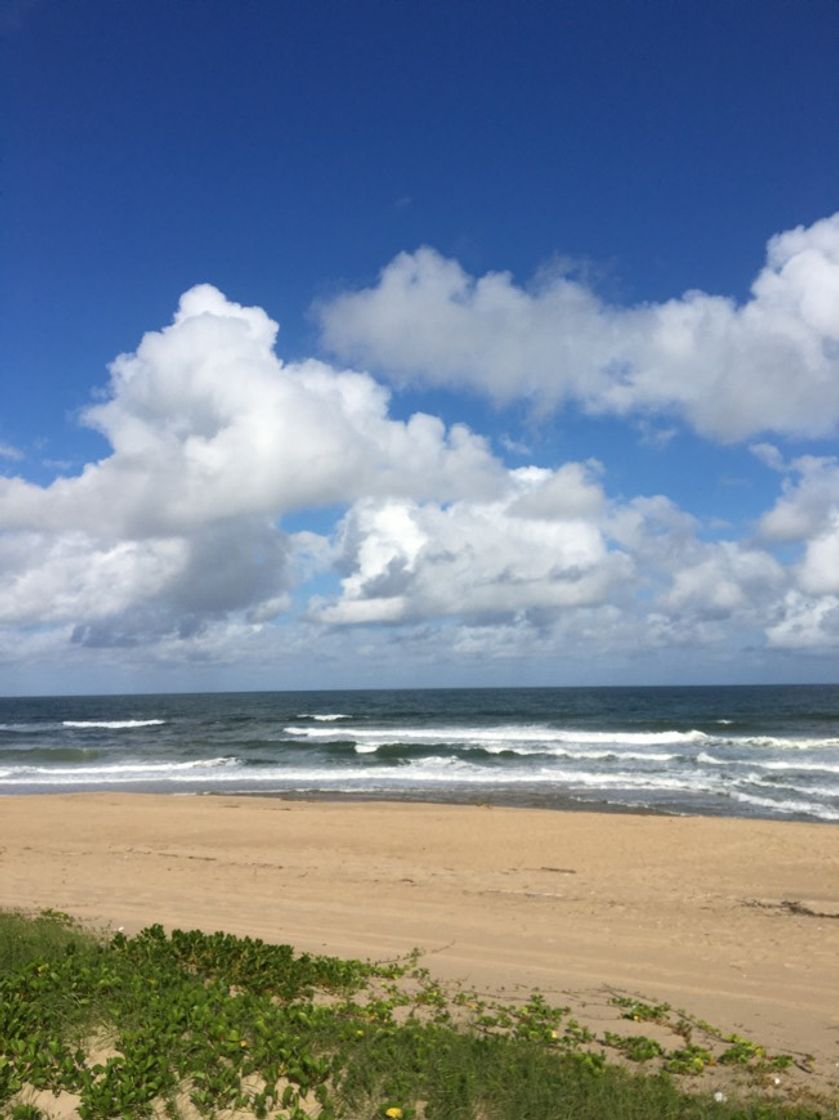 Lugar Praia Grande - São Francisco Do Sul