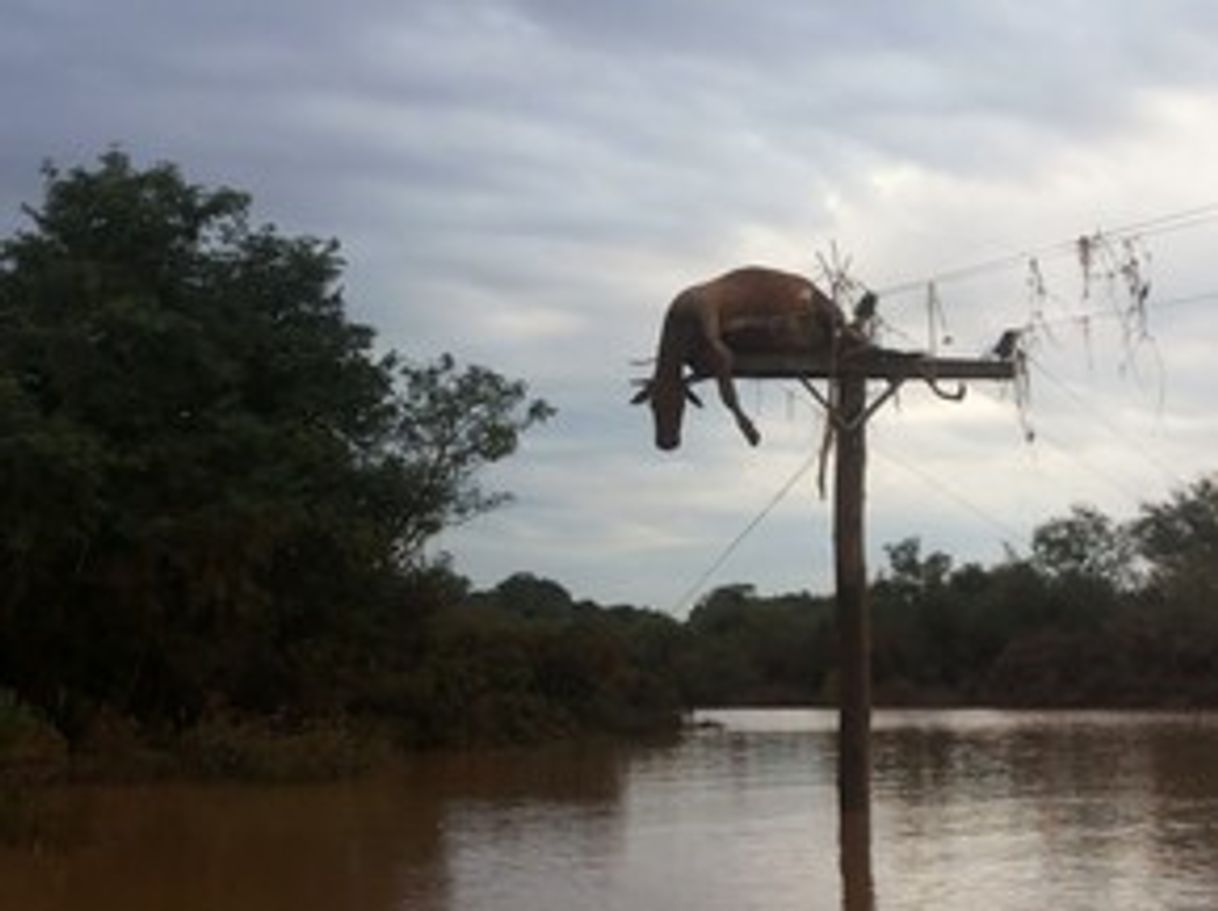 Lugares Río Uruguay