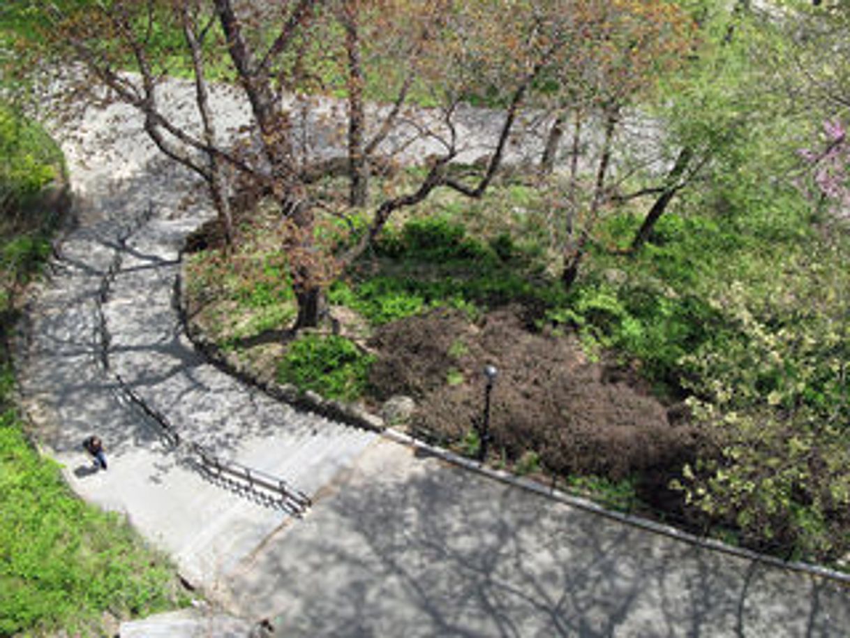 Lugar Morningside Park