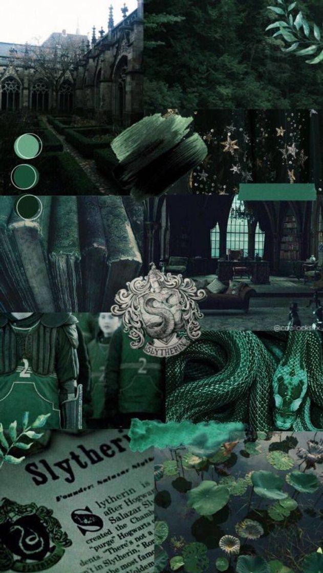 Fashion Slytherin/Sonserina✨