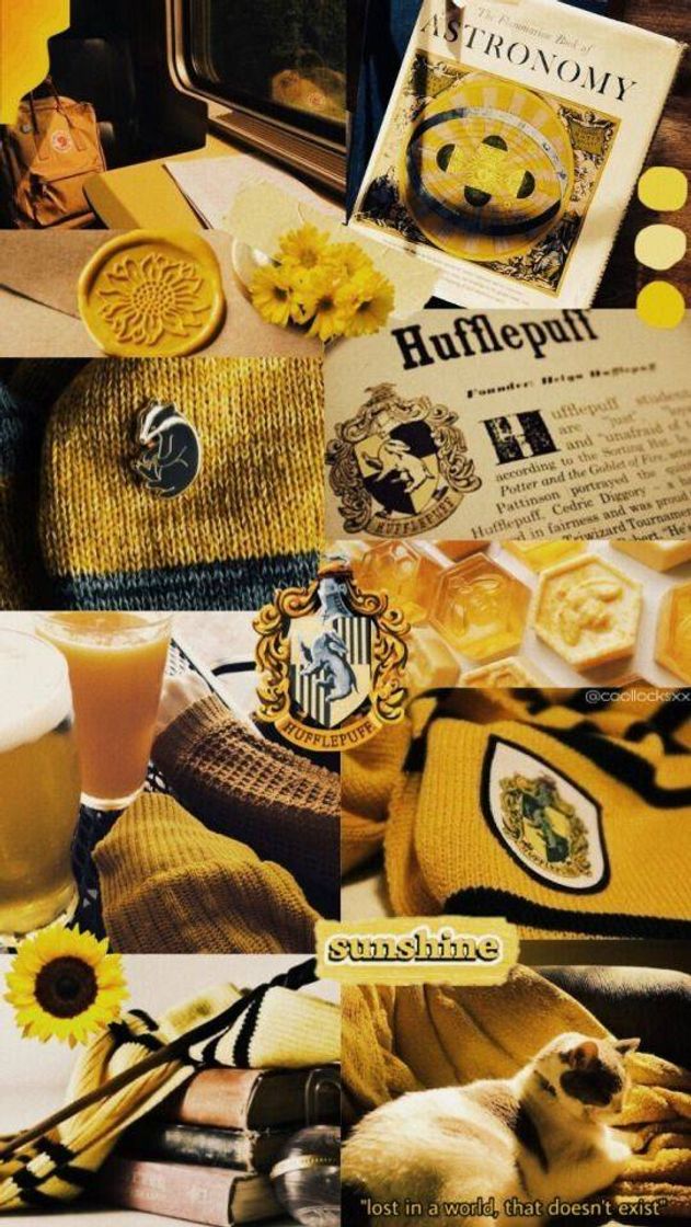 Fashion Hufflepuff/Lufa-Lufa✨