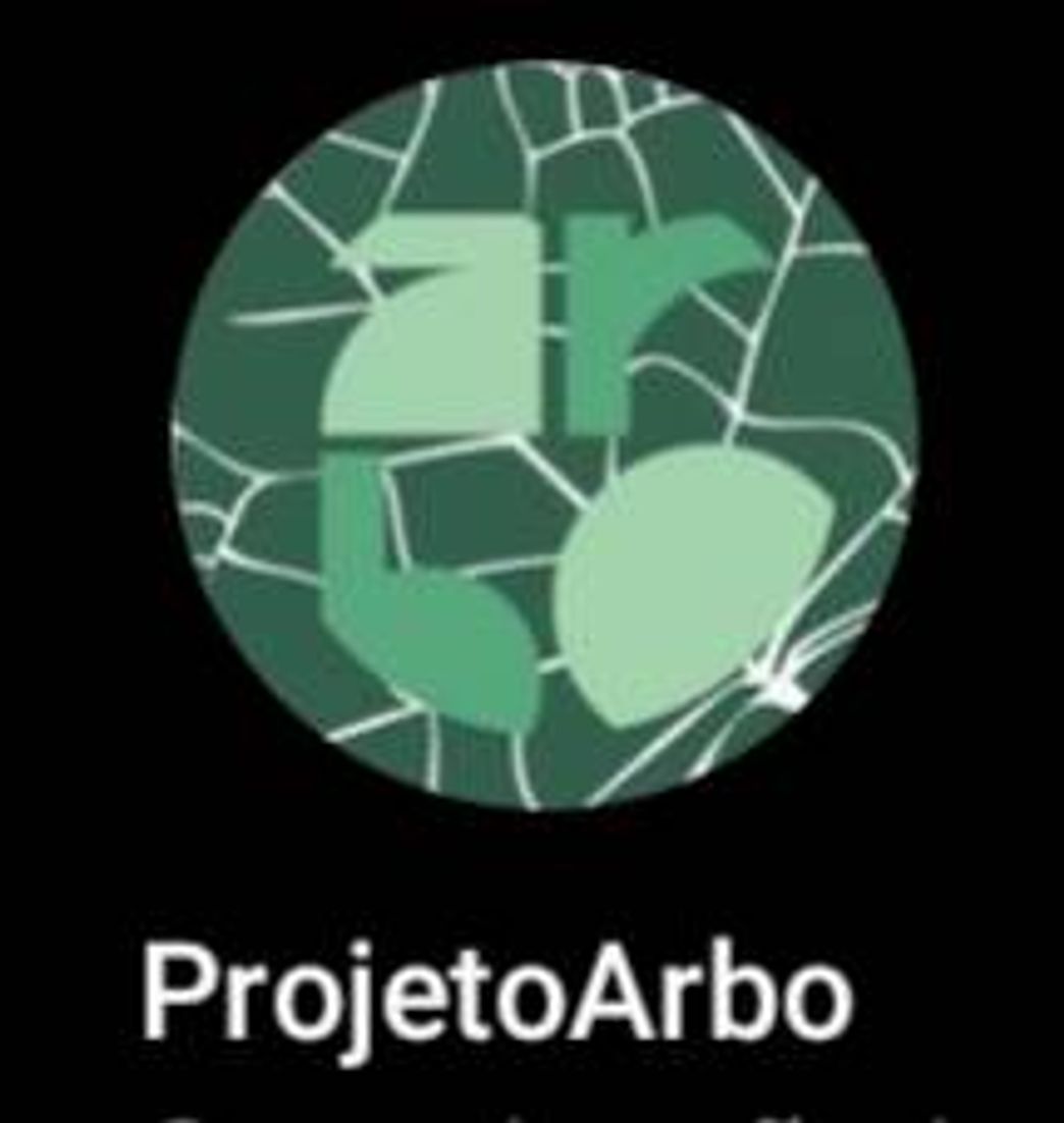 Moda Projeto Arbo