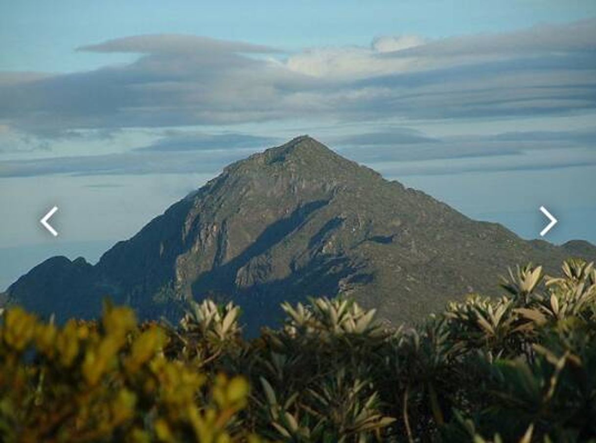 Place Pico Naiguatá