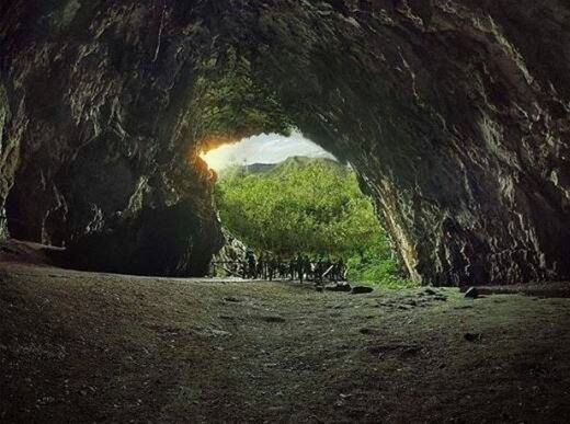Cueva Del Guacharo