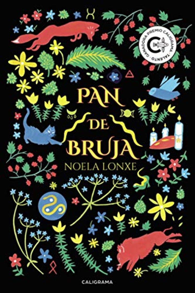 Book Pan de Bruja