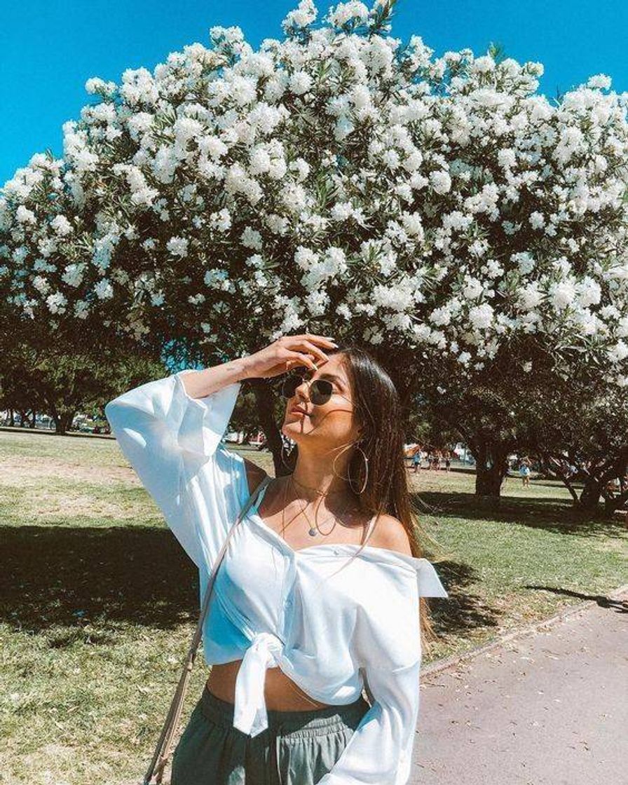 Social 📸