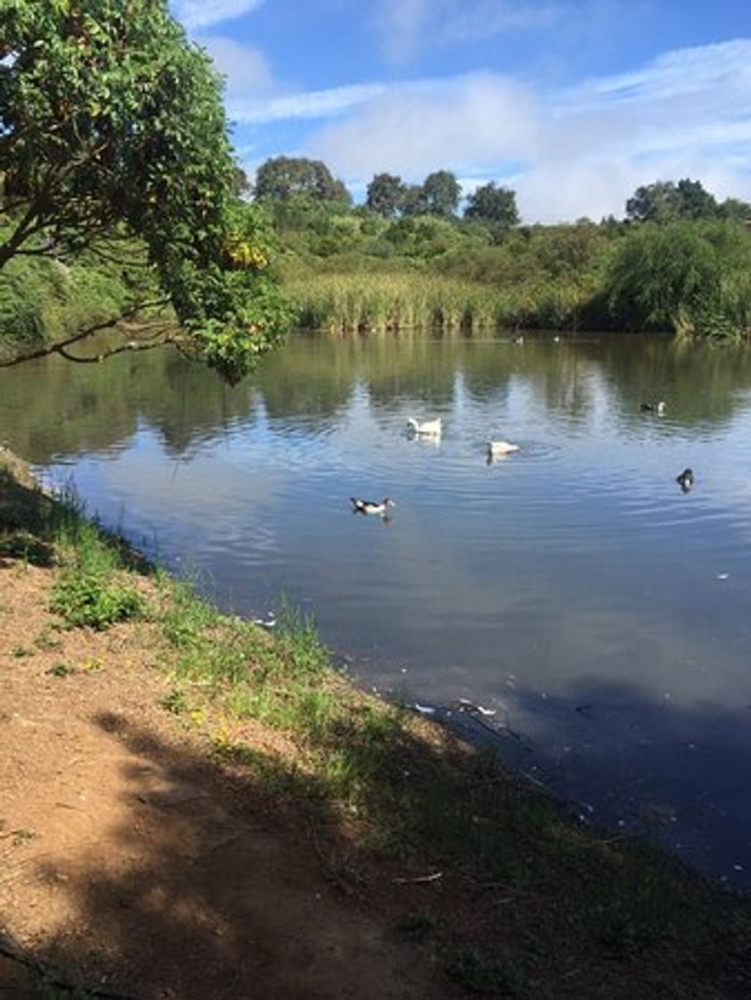 Lugar AREA RECREATIVA DE LA LAGUNA DE VALLESECO