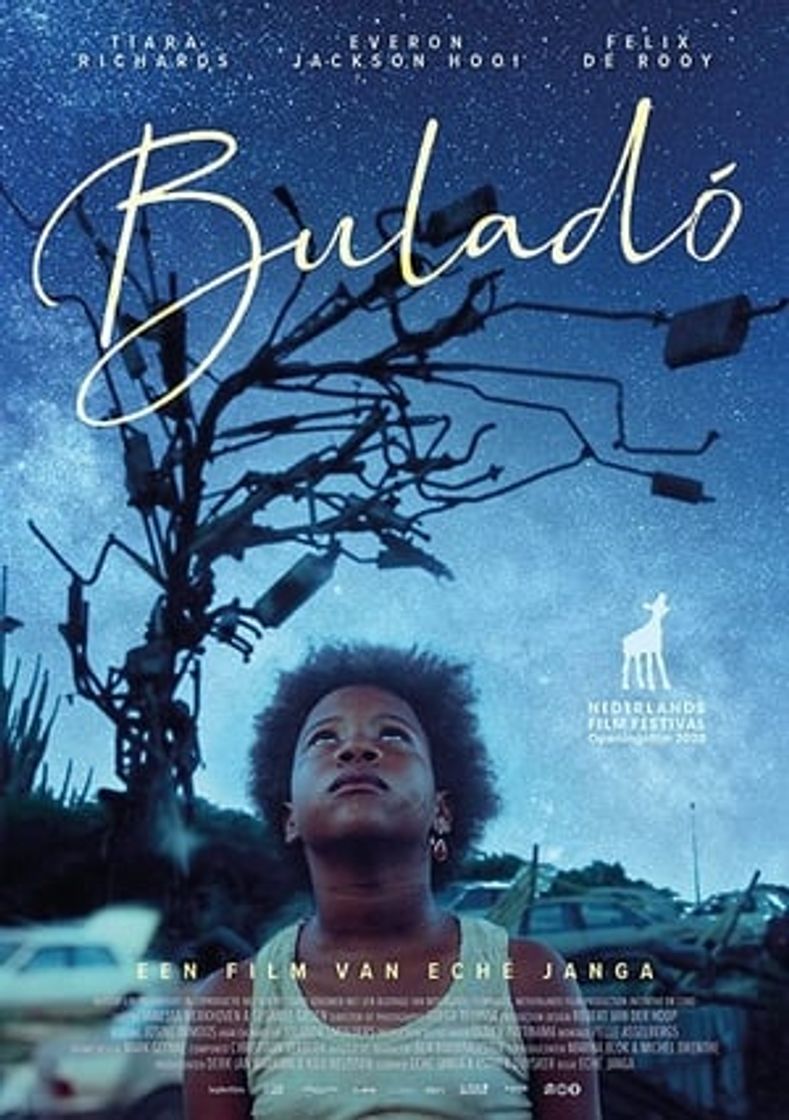 Película Buladó