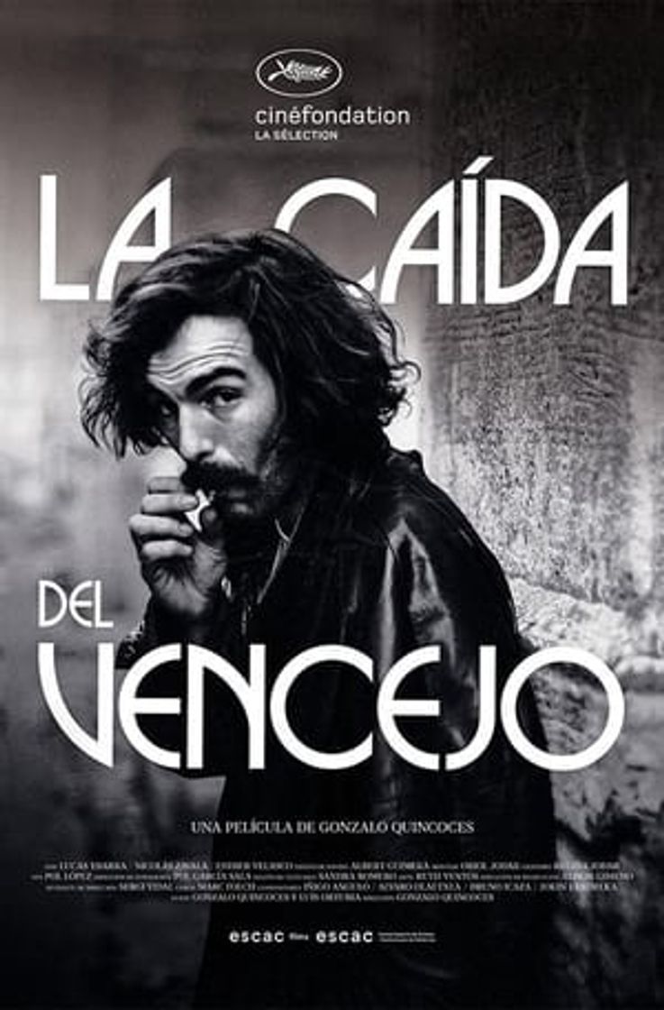 Movie La caída del vencejo