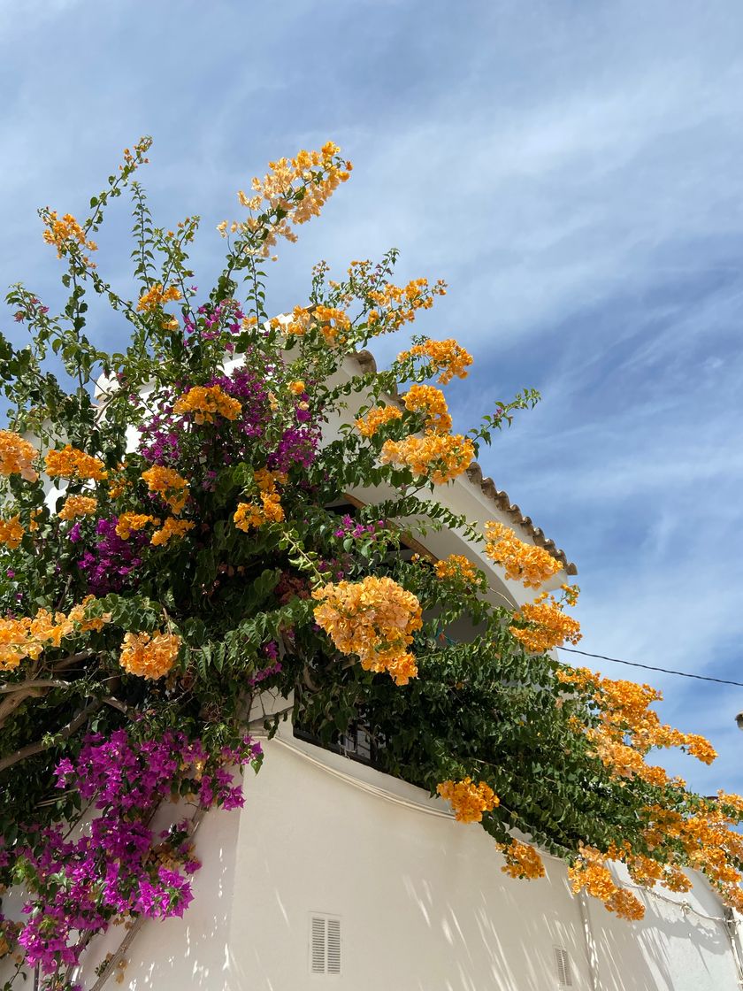 Lugar Altea la Vella