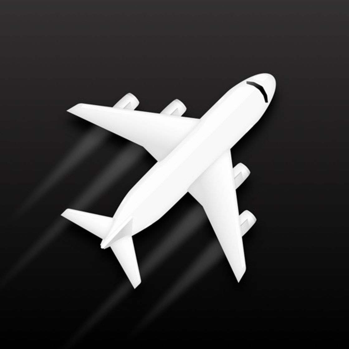 App Flighty - Live Flight Tracker