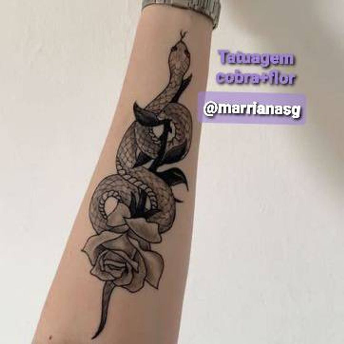 Fashion Tatuagem cobra+flor.