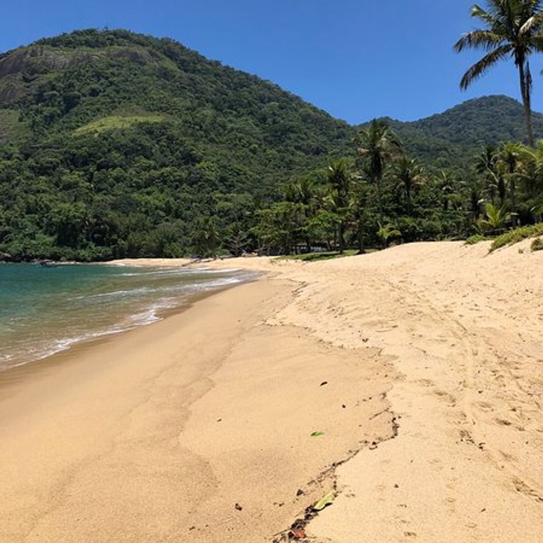 Lugar Praia Vermelha