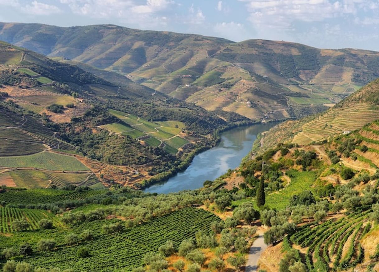 Lugares Vista panorâmica sobre Douro Vinhateiro