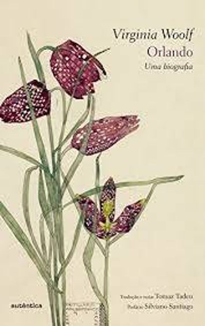 Libro Orlando: Uma biografia