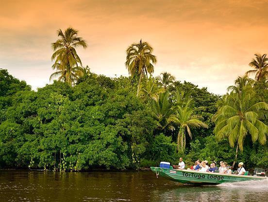 Lugar Tortuguero