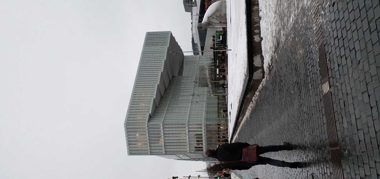 Lugar Oslo Public Library, Bjerke