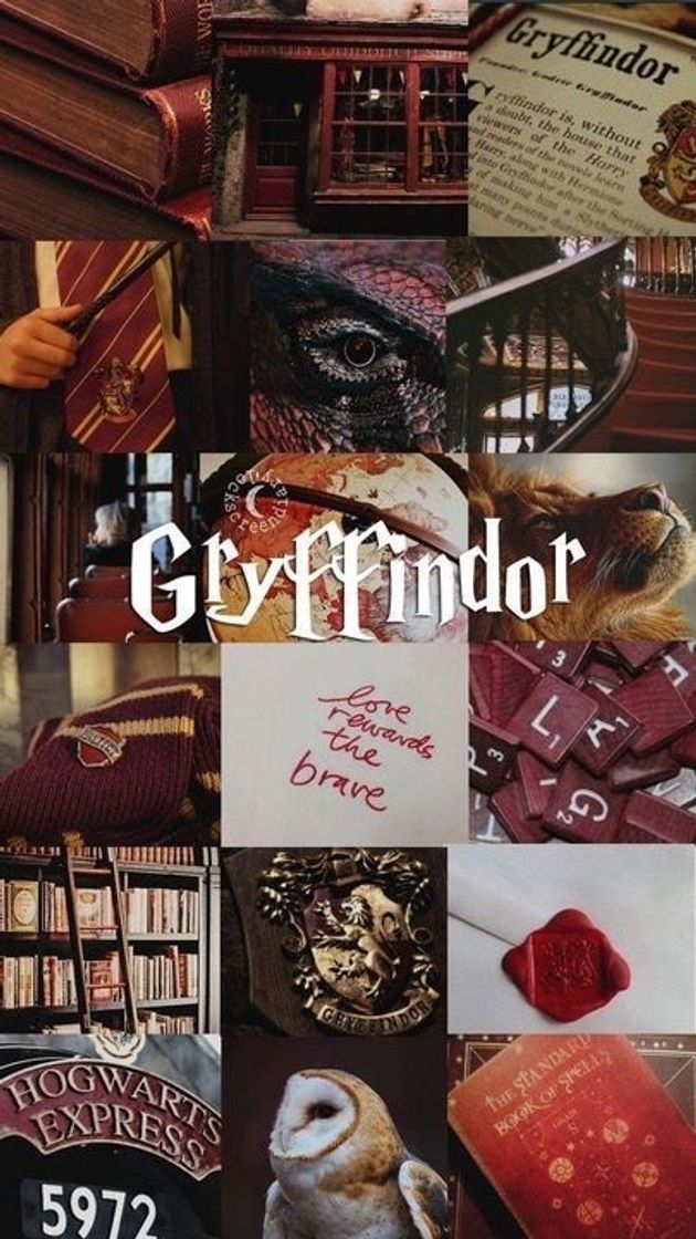 Moda Gryffindor🦁❤️