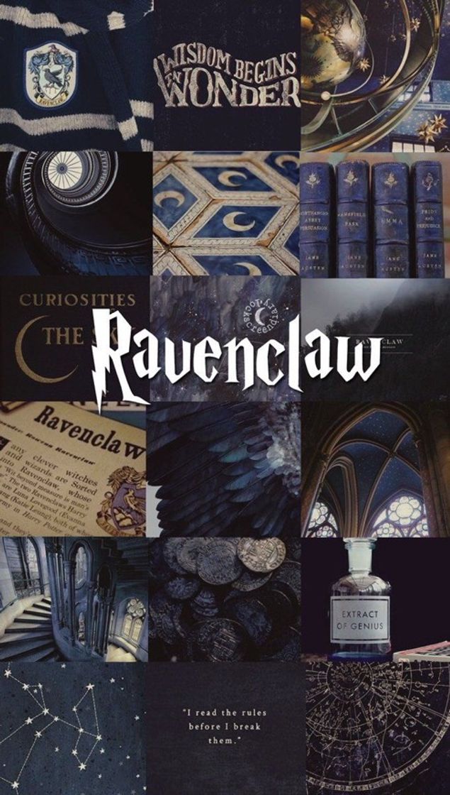 Fashion Ravenclaw🦅💙