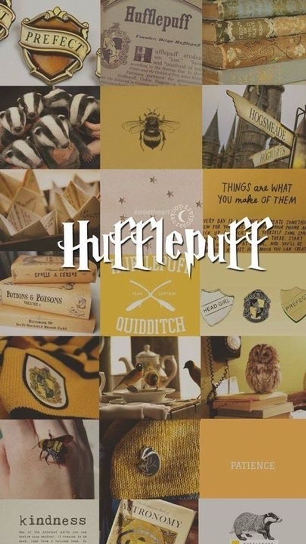 Moda Hufflepuff🦡💛